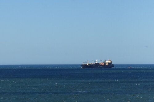 Frachter in der Cook Strait, Neuseeland (© Diethardt Freye)